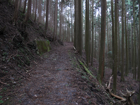 20140105hike (123)